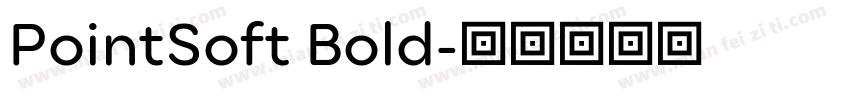 PointSoft Bold字体转换